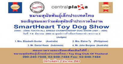 SmartHeart Toy Dog Show 2020